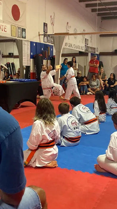 Altamonte American Karate Academy Picture 9
