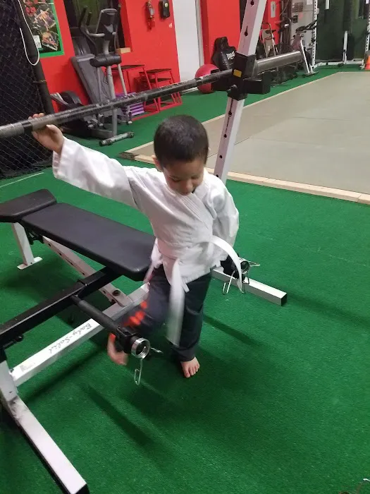 The Jungle MMA & Fitness Lake Mary Picture 2