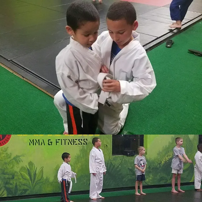 The Jungle MMA & Fitness Lake Mary Picture 6