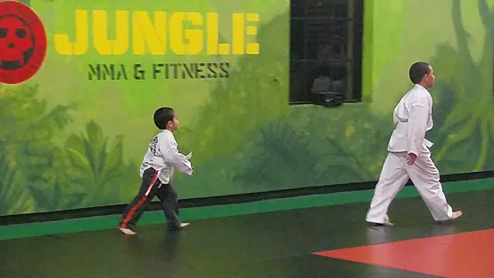 The Jungle MMA & Fitness Lake Mary Picture 5