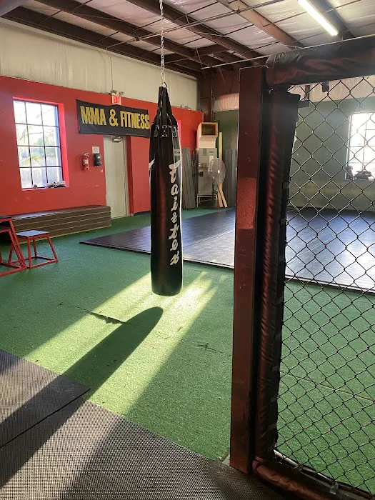 The Jungle MMA & Fitness Lake Mary Picture 3