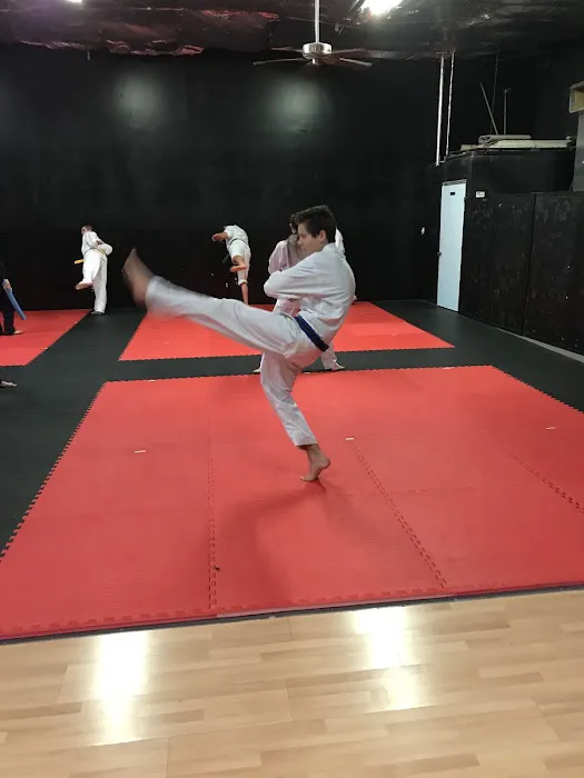Black Lightning Martial Arts Picture 1