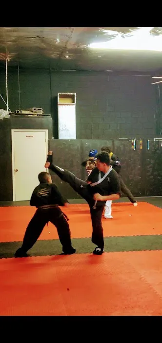 Black Lightning Martial Arts Picture 6