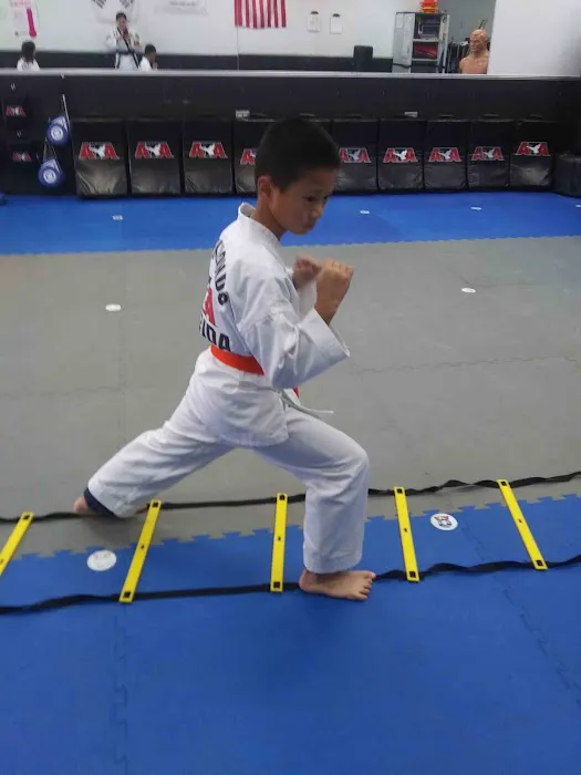 Inspiration ATA Martial Arts Picture 10