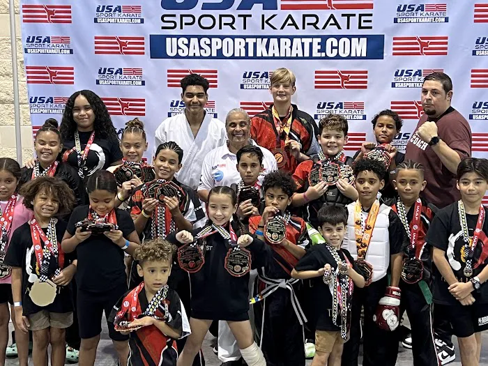 United Academy of Martial Arts Picture 6