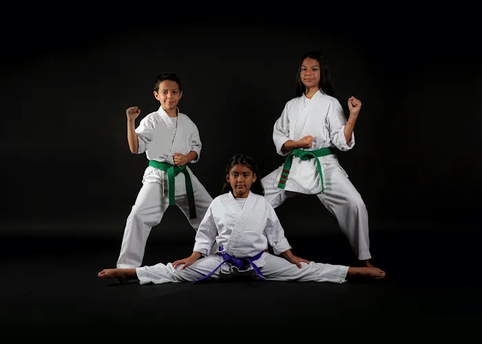 Legend Martial arts Sports Center Metrowest Picture 3