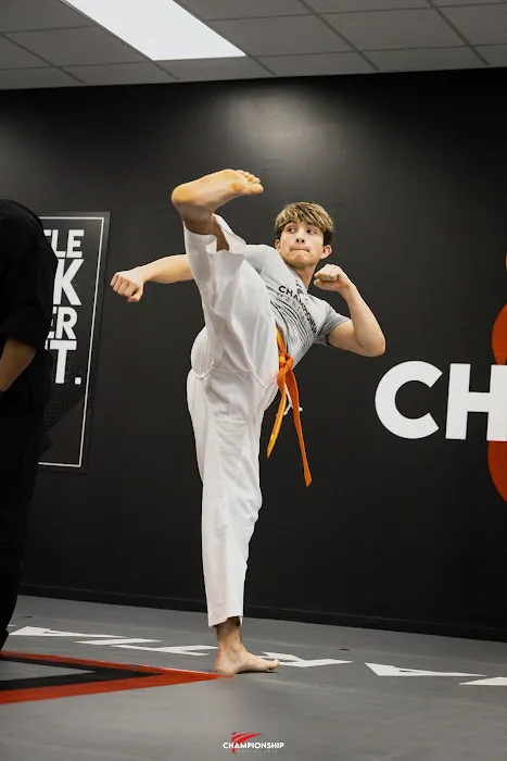 Championship Martial Arts - Hamlin Groves Picture 3