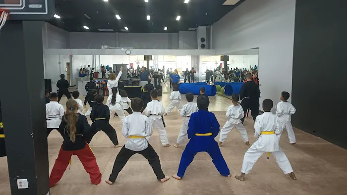 Martial Arts Plus Picture 4