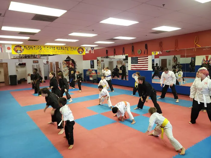 All American Karate Academy / Winter Garden Karate Picture 10