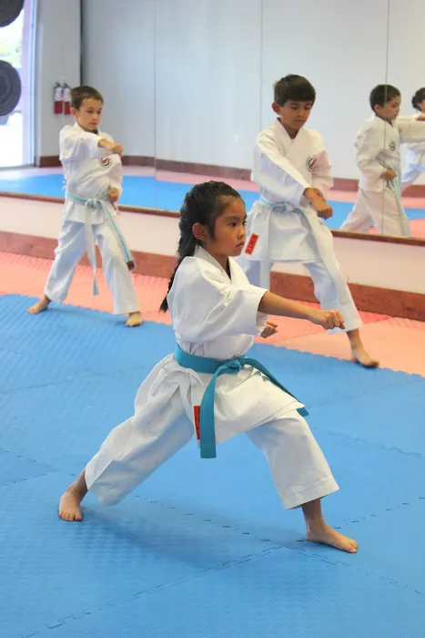 West Orange Karate Picture 3