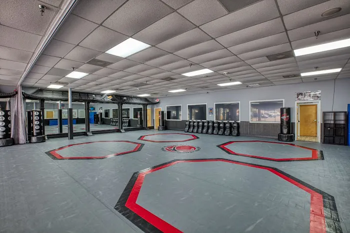 Kimber Martial Arts Picture 4