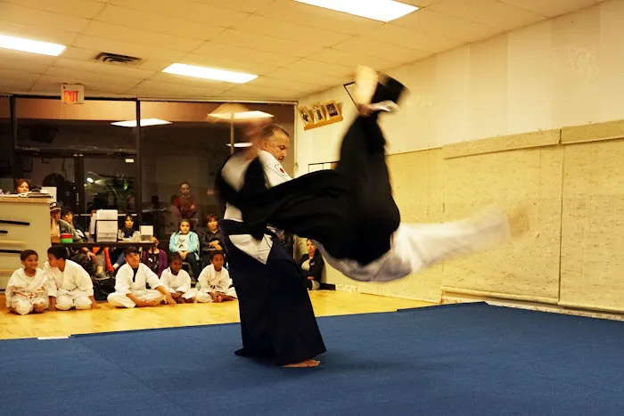 Rising Sun Martial Arts Picture 1