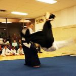 Rising Sun Martial Arts