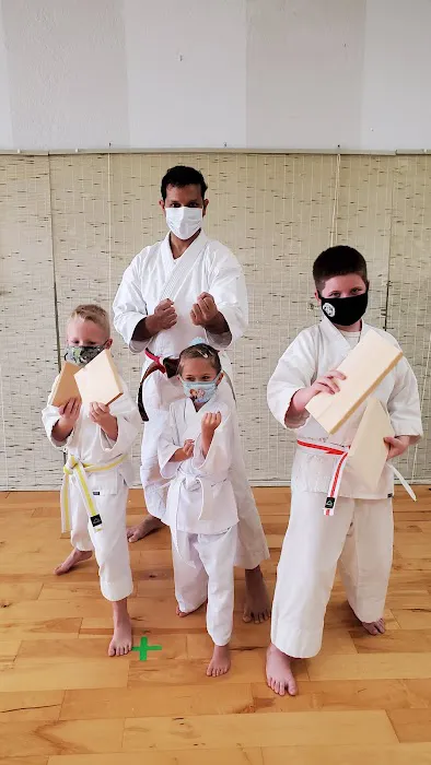 Rising Sun Martial Arts Picture 6