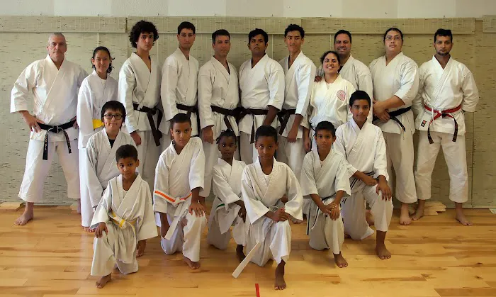 Rising Sun Martial Arts Picture 7