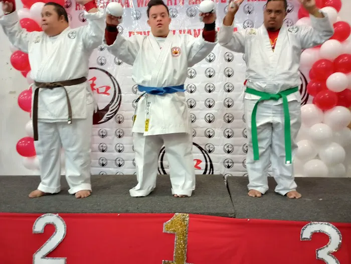 Kihon Kai Shotokan Karate Do Picture 8