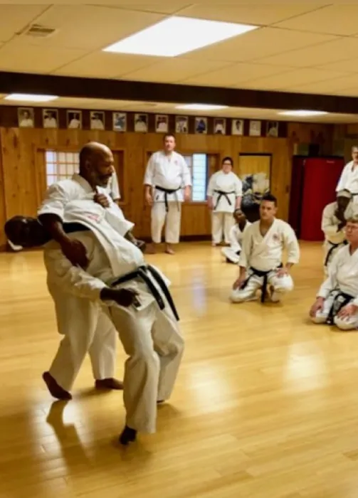 Kihon Kai Shotokan Karate Do Picture 10