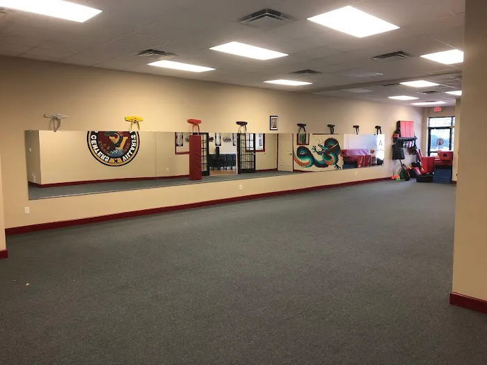Villari's Martial Arts of Port Orange Picture 10