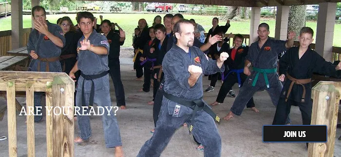 KSR Ultimate Martial Arts Picture 5