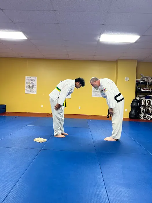 Academy Of Martial Arts Picture 6
