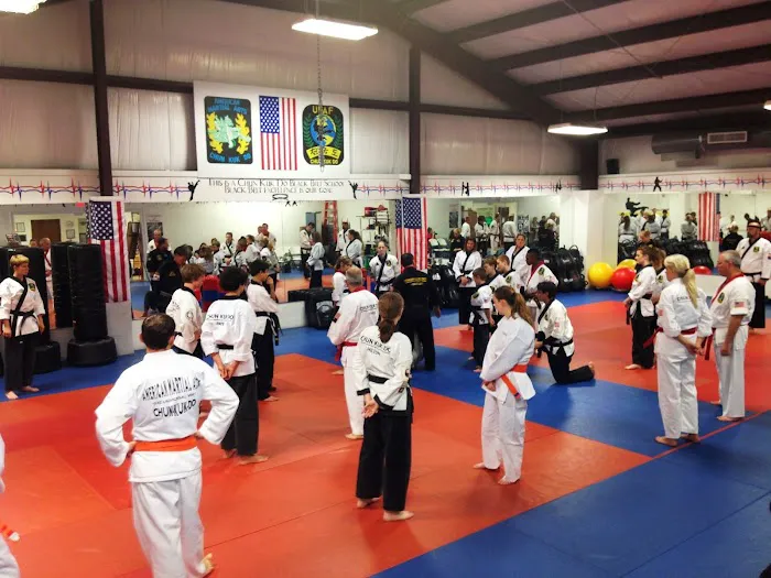 AMERICAN MARTIAL ARTS / KRAV MAGA FORCE FLORIDA Picture 3
