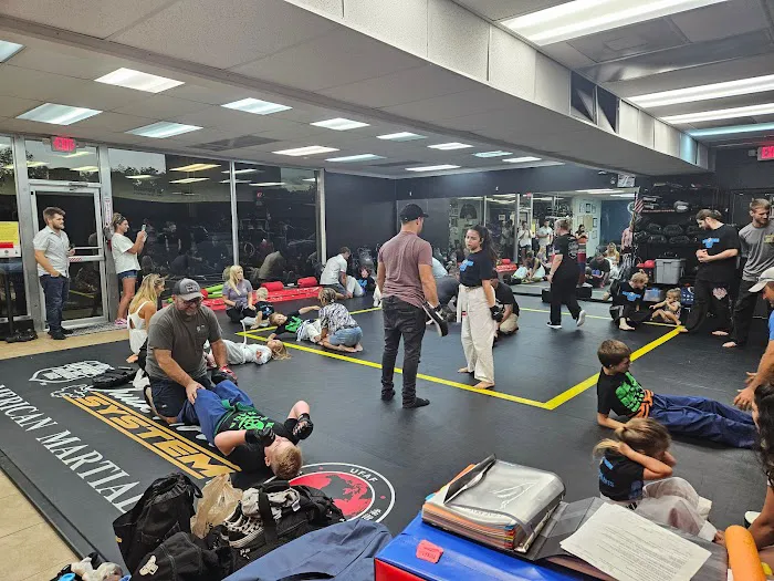 AMERICAN MARTIAL ARTS / KRAV MAGA FORCE FLORIDA Picture 10