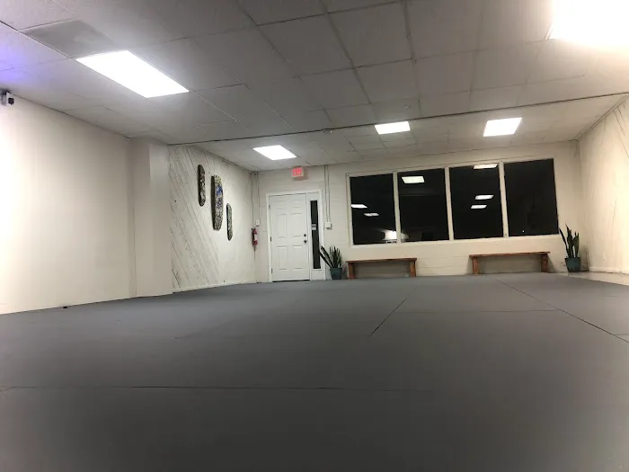 Prodigy-New Smyrna Beach Jiu Jitsu Picture 9