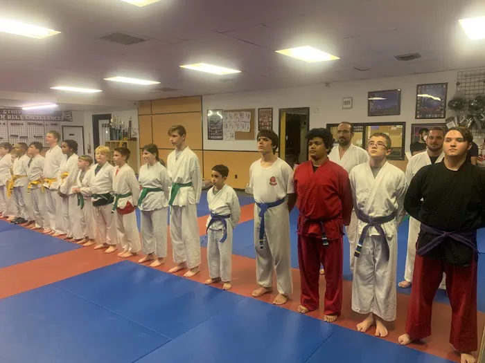 Stan Lee's United Martial Arts. Picture 4