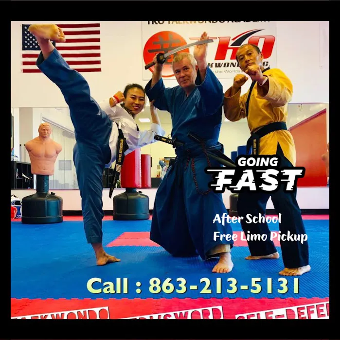 TKO Wado Ryu Karate Picture 8