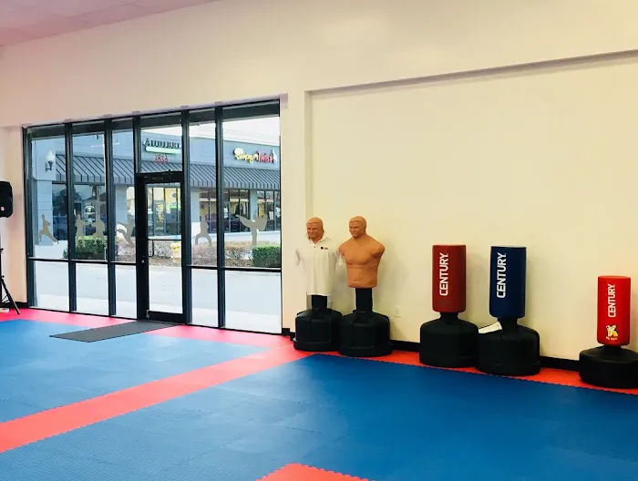 TKO Wado Ryu Karate Picture 4