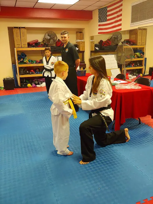 The Tae Kwon Do School of Excellence Picture 5