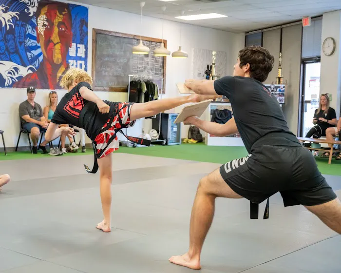 Karate Beyond by Master Choe Picture 1