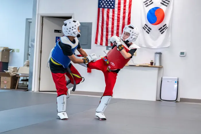 Karate Beyond by Master Choe Picture 3