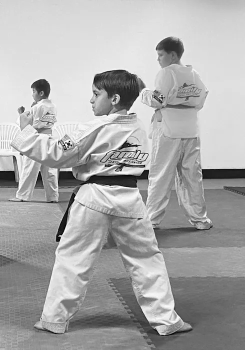 Family Martial Arts Center Picture 10