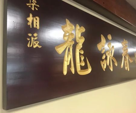 The Dragon Institute - Palm Coast Martial Arts