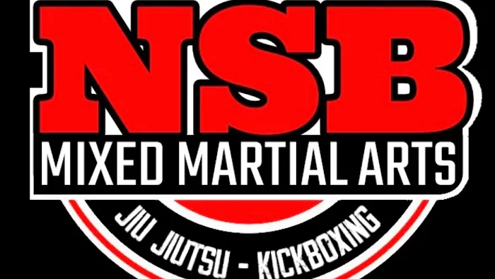 New Smyrna Beach Mixed Martial Arts Picture 6