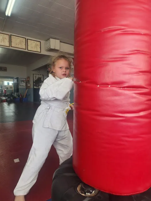 Bob Otto's School of Karate Picture 3