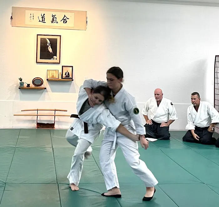 Aikido of Volusia Picture 3