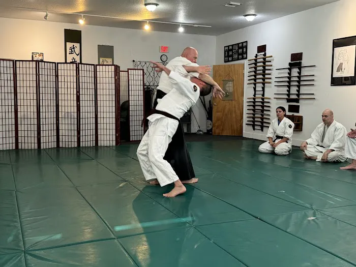 Aikido of Volusia Picture 1