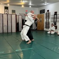 Aikido of Volusia ico