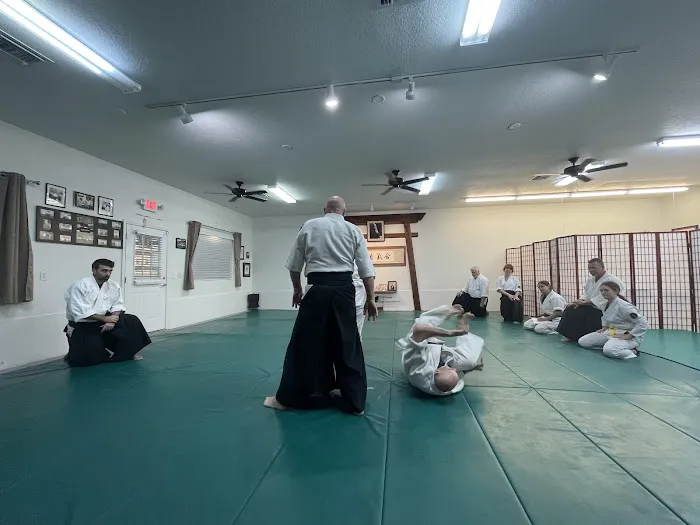 Aikido of Volusia Picture 9