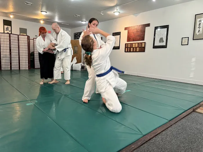Aikido of Volusia Picture 10