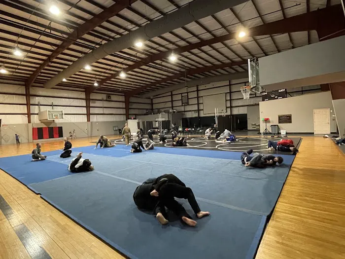 REDBEARD COMBATIVES Picture 5