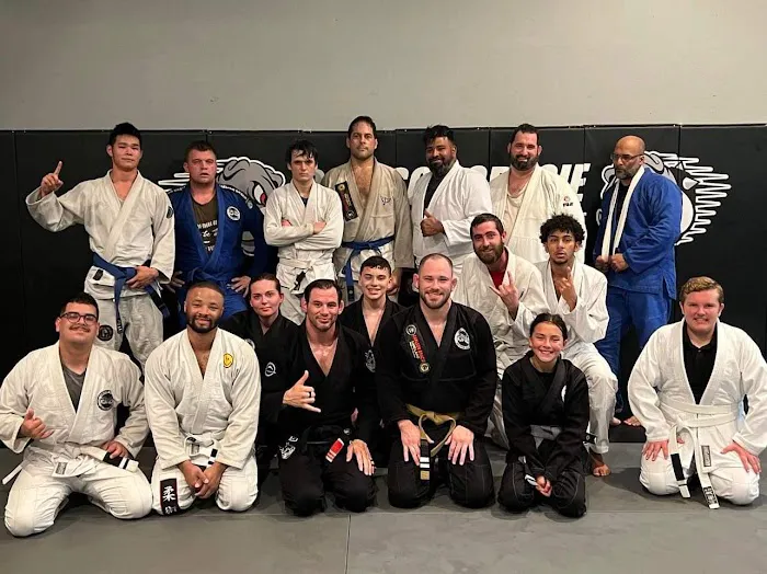 Carlson Gracie South Lakeland - Brazilian Jiu-Jitsu, Kickboxing, Physical Fitness, Preschool Martial Arts & Combat Training Picture 8