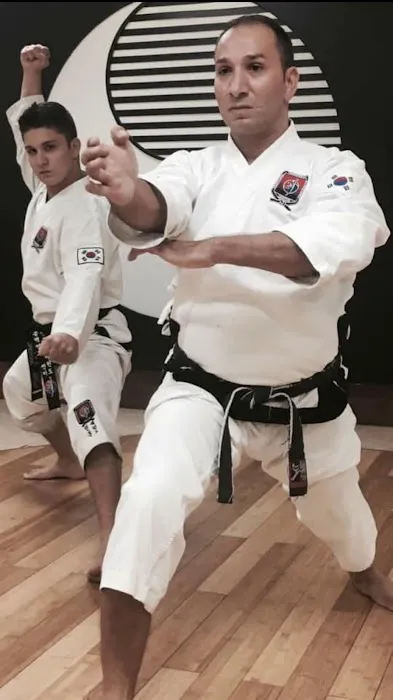 Traditional Tae Kwon-Do Tampa Palms Picture 2