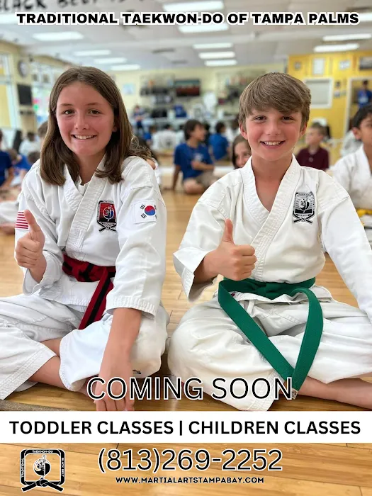 Traditional Tae Kwon-Do Tampa Palms Picture 7