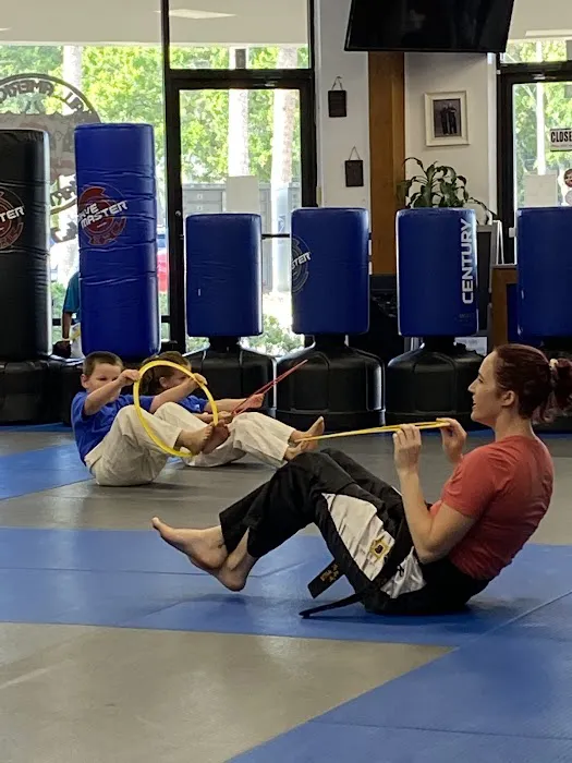 ALL AMERICAN MARTIAL ARTS & KRAV MAGA ACADEMY Picture 7
