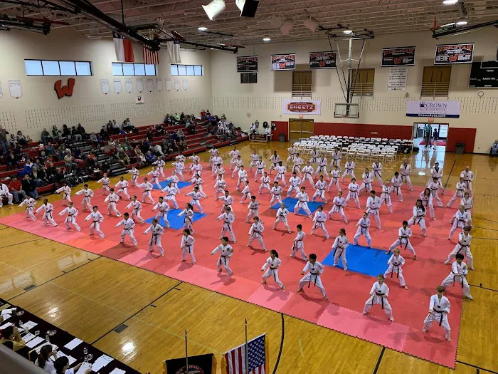 Tiger Cho's World Class Taekwondo Picture 4