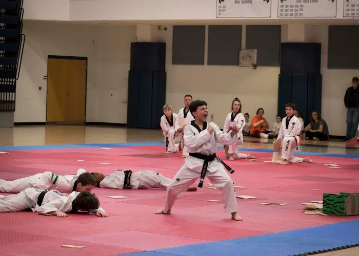 Tiger Cho's World Class Taekwondo Picture 5