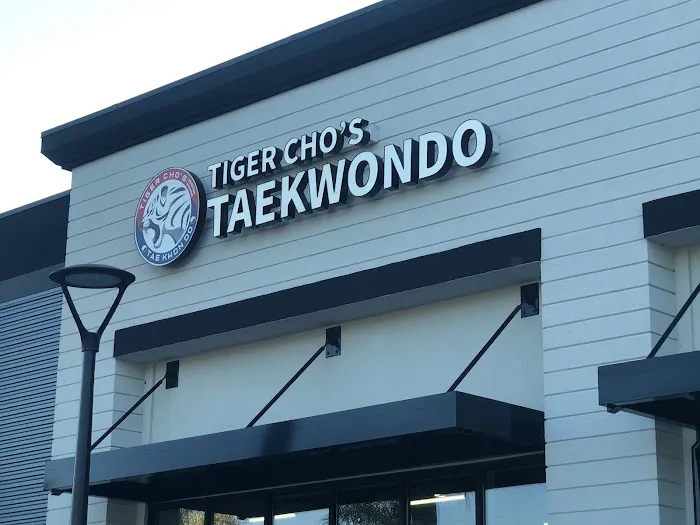 Tiger Cho's World Class Taekwondo Picture 7